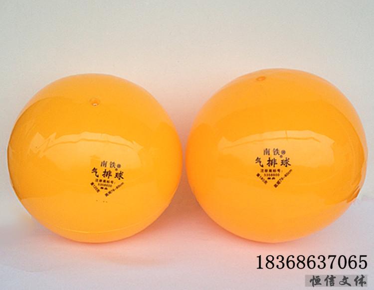 Ballon de volley - Ref 2012685 Image 5