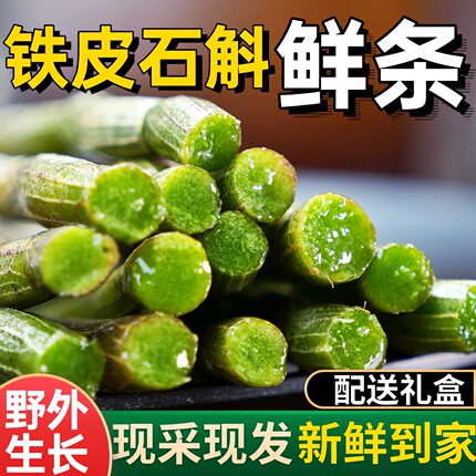 正宗普山堂乐清五年生新鲜铁皮石斛鲜条官方正品500g非霍山云南产