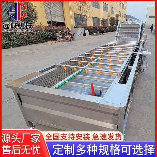 全自动苹果清洗机不锈钢大枣商用果蔬清洗设备多功能气泡清洗机