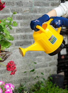 爱丽思洒水壶浇花家用浇水壶浇菜淋花洒壶长嘴大容量树脂绿色喷壶