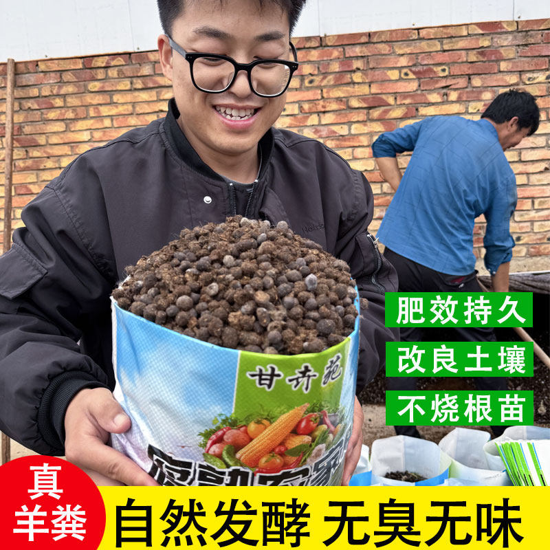 羊粪发酵有机肥 农家肥 纯干羊粪蛋颗粒养花种菜花卉园艺通用肥料,农用物资,有机肥,淘宝优惠券,粉丝福利购,淘宝优惠卷