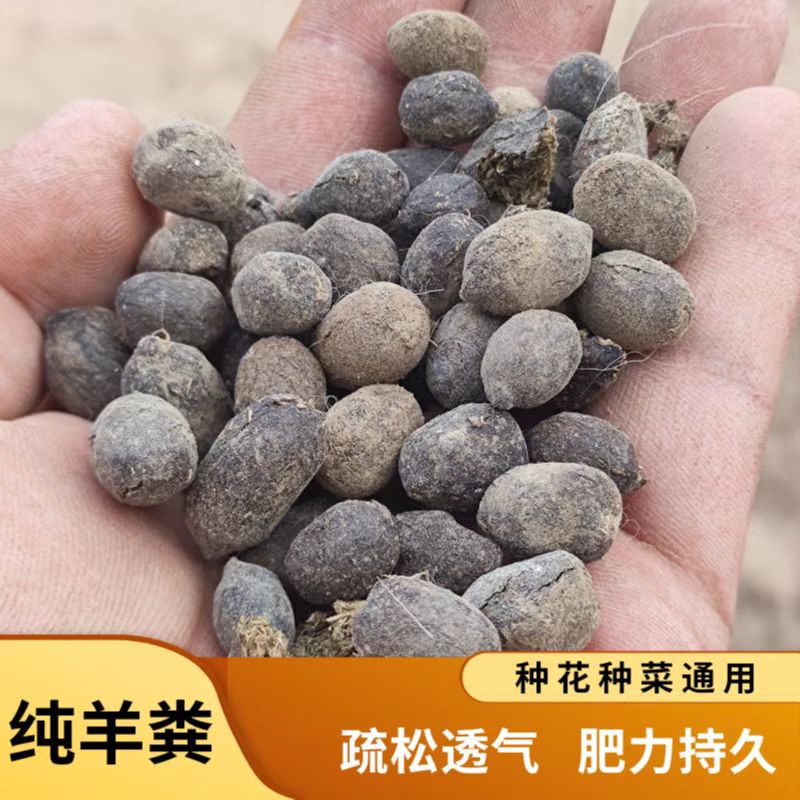 10斤-50斤羊粪肥发酵无臭有机生物肥瓜果花卉专用腐熟羊粪颗粒 鲜花速递/花卉仿真/绿植园艺 家庭园艺肥料 原图主图