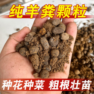 纯羊粪发酵有机肥料瓜果蔬菜花卉专用腐熟羊粪颗粒绿植盆栽农家肥