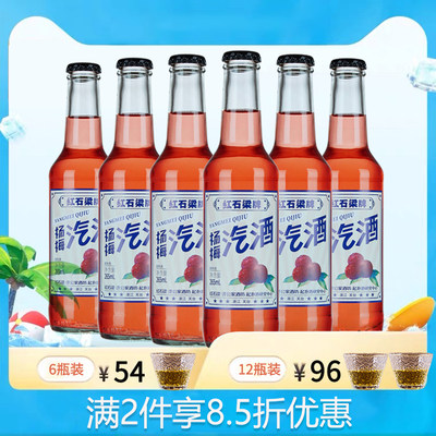 济公家红石梁杨梅汽酒265ml