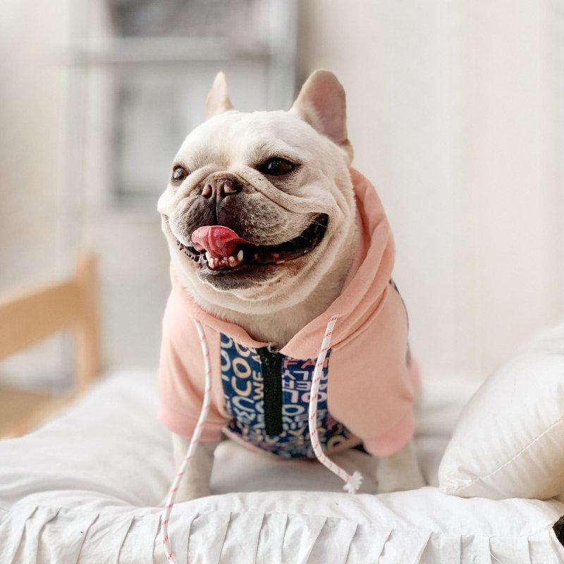 法斗狗狗衣服秋冬装斗牛犬巴哥冬季防掉毛小型中型犬宠物潮流卫衣