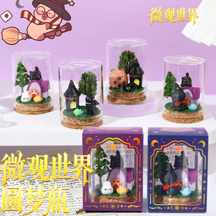 魔法微观世界圆梦瓶漂流瓶生态瓶许愿瓶桌面苔藓小植物造景小摆件