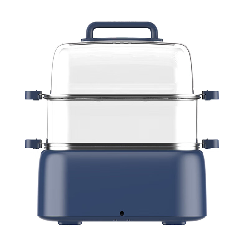 九阳电蒸锅DZ100HG-GZ666