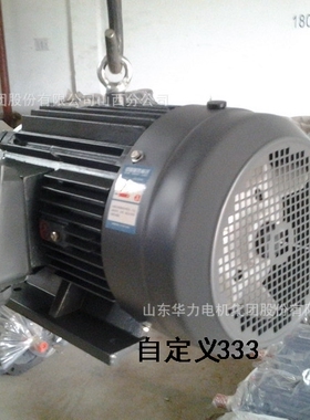 皖南Y电机 Y2电机价格 Y3电机销售【HM2电机】YX3电机