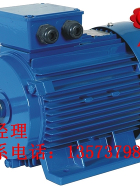 YE2X34225S4P极37KW千瓦三相异步电动机马达立卧式安装380440660V