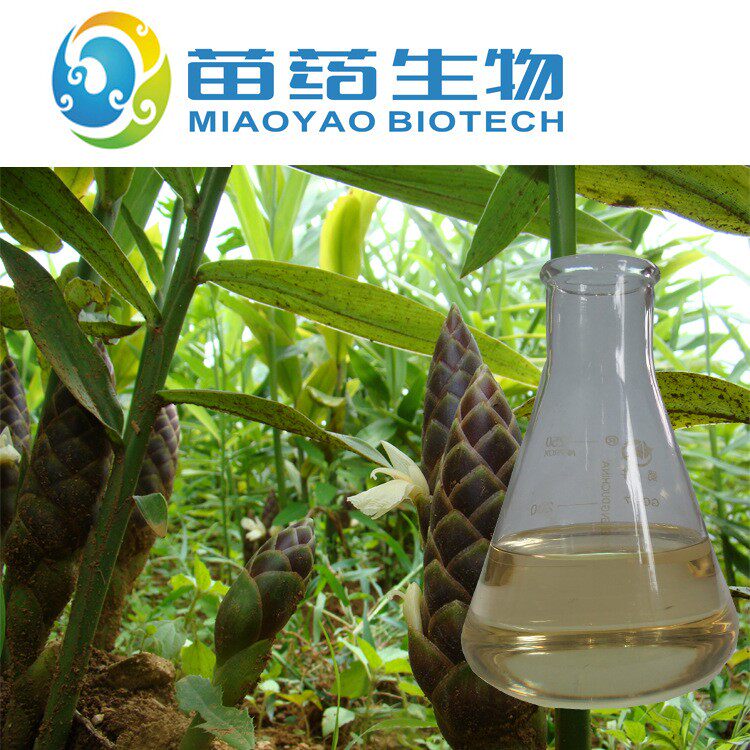 珊瑚姜精油珊瑚姜油  水蒸气蒸馏珊瑚姜油