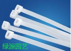 。10根自锁式尼龙扎带 3*100mm 塑料扎带 10根 毛管捆绑固定