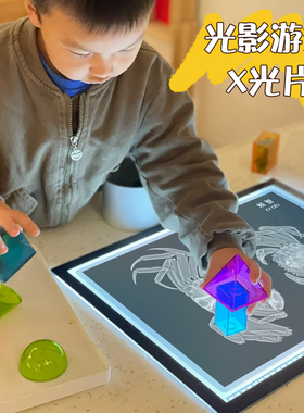 幼儿园早教蒙氏瑞吉欧光影X光片环创自制教玩具科学区区角区域