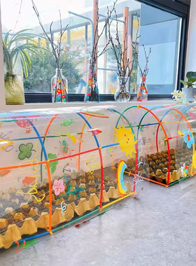 幼儿园植物角自制教玩具环创区角diy大棚观察自制种植区装饰
