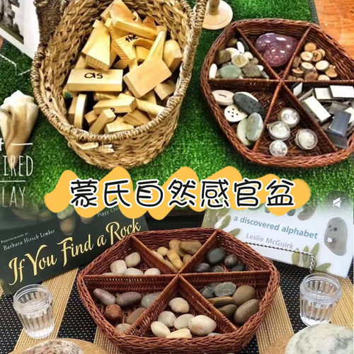 自然物收纳早教游戏教具
