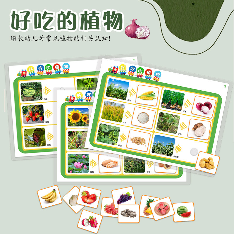 幼儿园小中大班科学区益智区角材料认识植物与果实环创自制教玩具