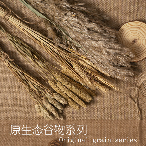 自然麦穗原生态墙面幼儿园环创