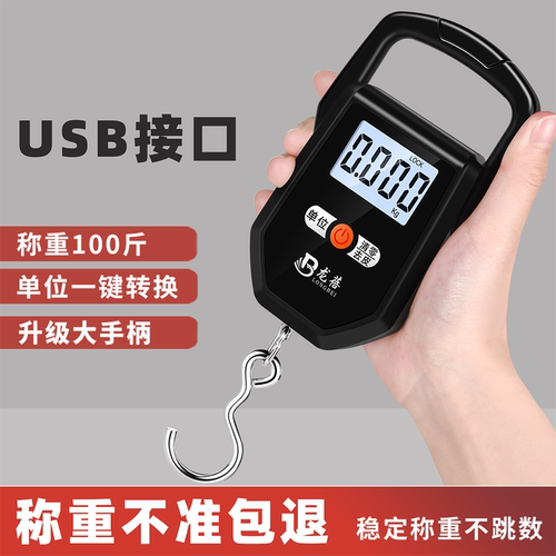 手提便携高精度迷你精准电子秤