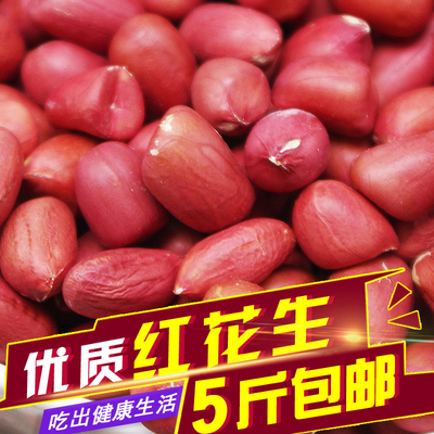 四粒红皮花生米新货500克