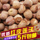 湖南特产生红皮莲子红莲子带皮莲子带莲子芯更营养250g