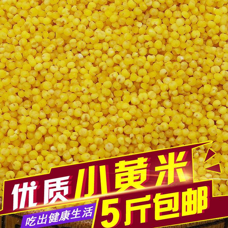 内蒙优质小黄米 小米粥 营养好 500g