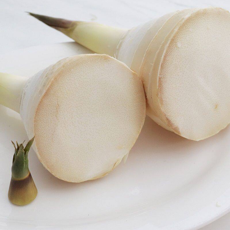 马蹄笋福建台湾重庆绿竹笋新鲜现挖大头笋沙拉笋水果笋蔬菜当季时