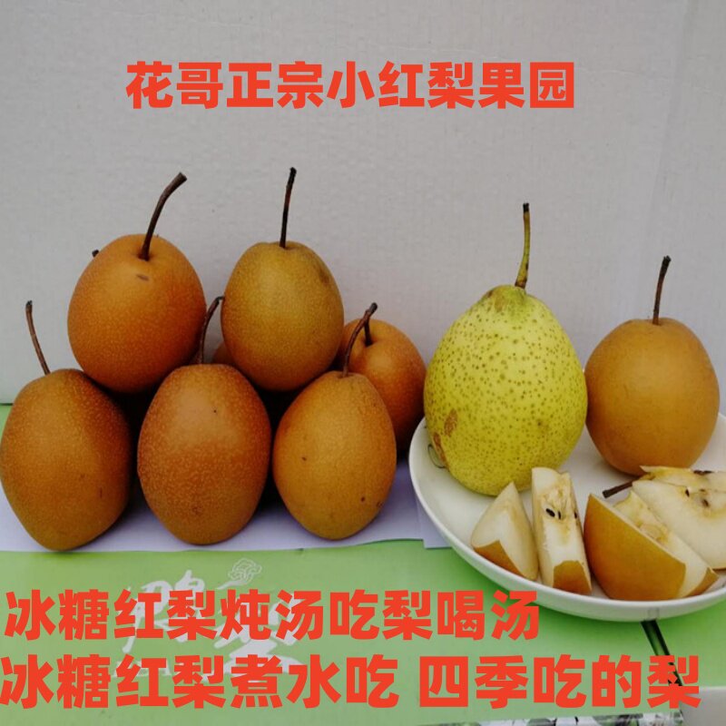 魏县正宗酸红梨冰糖熬水宝宝咳嗽