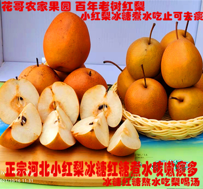 河北魏县小红梨铁梨新鲜孕妇水果5斤沙梨子酸甜冰糖煮水咳嗽