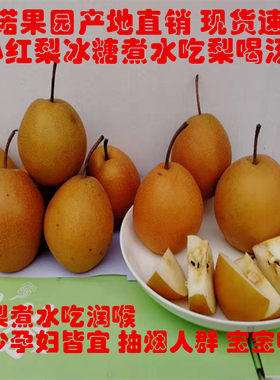 魏县正宗酸红梨冰糖熬水宝宝咳嗽