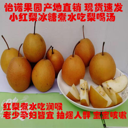 红梨宝宝咳嗽新鲜梨子红皮梨魏县正宗小酸红梨冰糖煮水熬汤硬铁梨