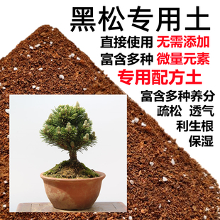 黑松专用土黑松土盆栽盆景营养土酸性沙质土壤家用绿植种植土肥料
