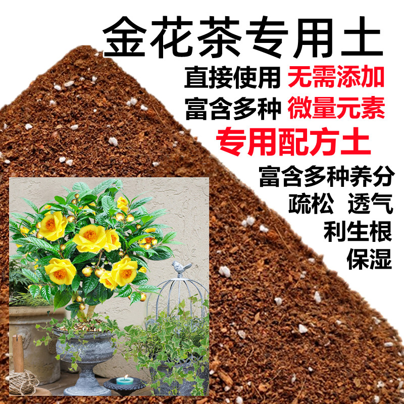 金花茶土盆栽种植金花茶专用土酸配方介质/营养土