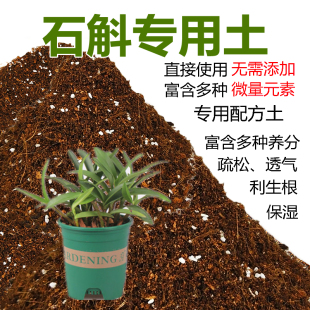 石斛专用土紫蝶澳洲香水泼墨斛兰花科通用型营养土铁皮苔藓球配土