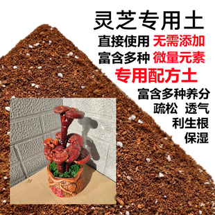灵芝盆栽专用土酸性沙质透气泥炭腐殖土壤家用营养土绿植种植肥料