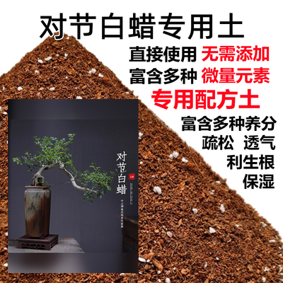 对节白蜡专用土对节白蜡树土盆栽盆景营养土酸性沙质土壤种植肥料