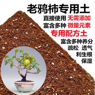 老鸦柿专用土老鸦柿土盆栽盆景营养土酸性沙质土壤绿植种植土肥料