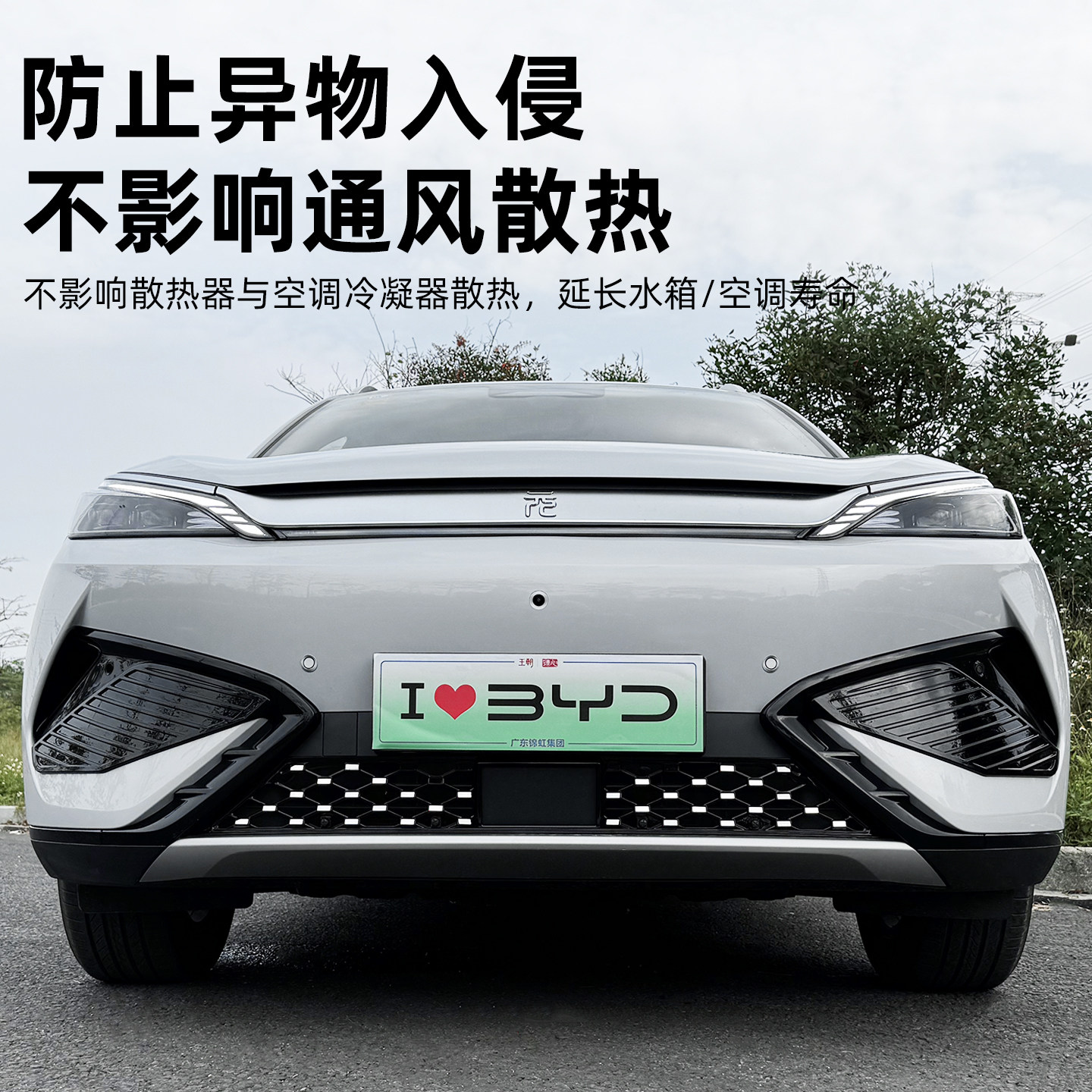新款元PLUS满天星款防虫网