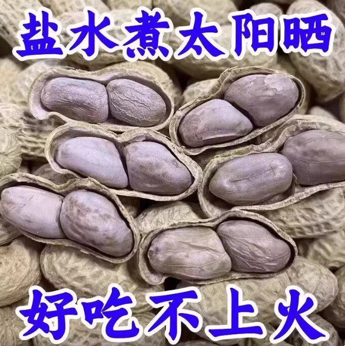 2026年新货水煮花生晒干农家水煮咸干花生白晒花生坚果零食特产