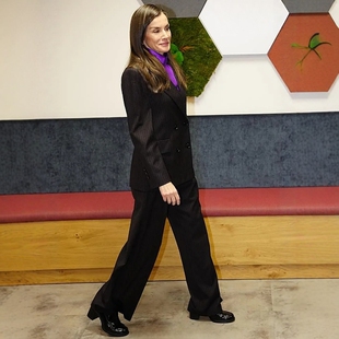 紫色衬衫 高级定制西班牙王后同款 裤 套装 三件职业OL 黑色竖条纹西装