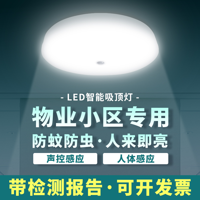 LED声控感应吸顶灯红外线人体感应吸顶灯楼道灯过道灯声控灯泡