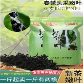 张家界杜仲茶正品 杜仲叶嫩芽叶500g新茶湖南特产走遍湘西