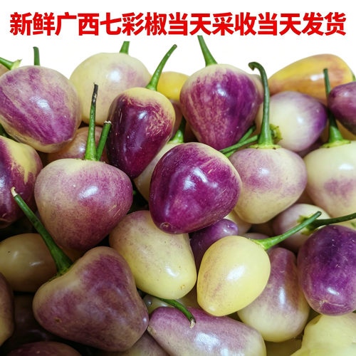 现摘现发广西七彩椒辣椒现摘五彩椒泡椒小灯笼椒小米椒七彩辣椒
