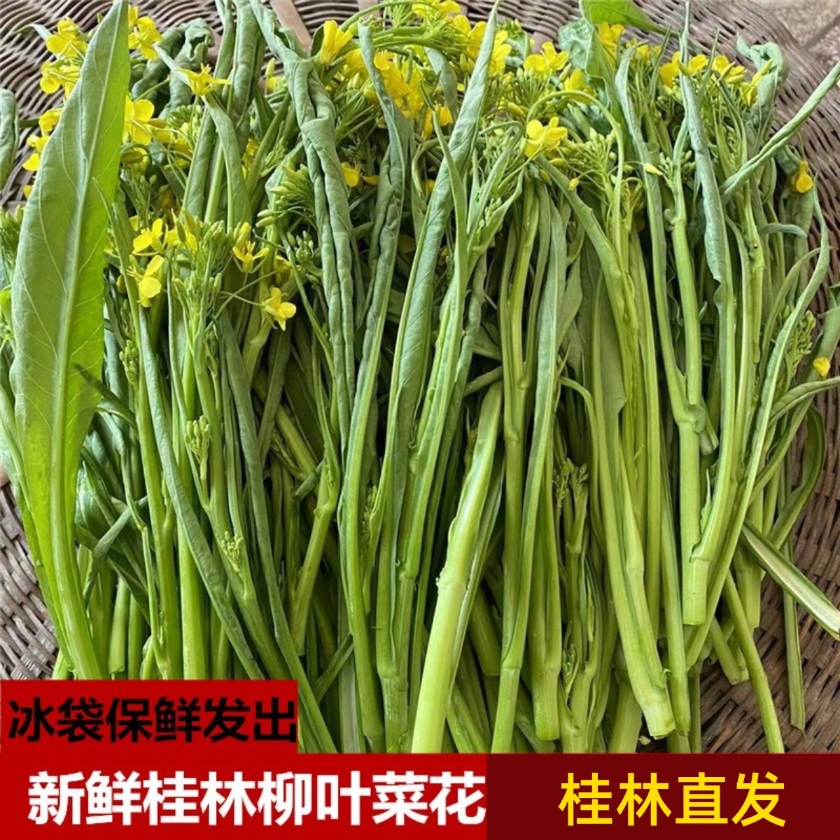 广西菜心新鲜菜花柳叶菜花
