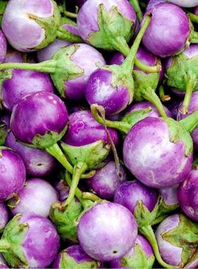 新鲜小圆茄ca phao tim紫色小茄子东南亚餐厅食材泰式菜原料