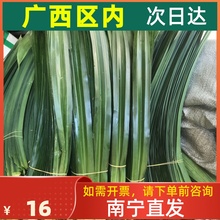 新鲜食用香兰叶斑斓叶斑兰叶做甜品椰汁糕食用芒果糯米饭广西发货