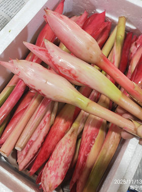食用花泰国菜南娘惹姜花laksa花