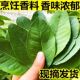 新鲜柠檬叶青柠叶西餐厅香料料理烹饪冷饮奶茶店调料冬阴功汤原料