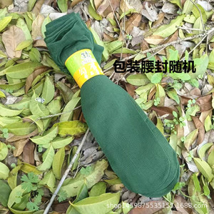 军绿色短筒男士丝袜直筒无后跟春夏季学生军训耐磨运动袜现货十双