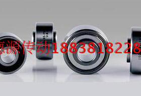 美国巴顿BARDUN包覆丝机锭子轴承D231303   1026-2Z-T9