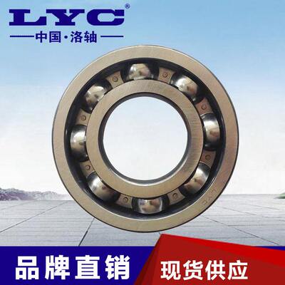 洛阳LYC轴承深沟球电机