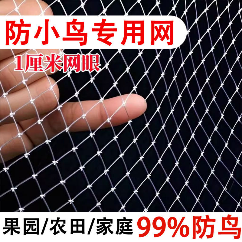小网孔果树防鸟专用网果园天网尼龙网樱桃嘉宝果防鸟网蔬菜防鸟罩